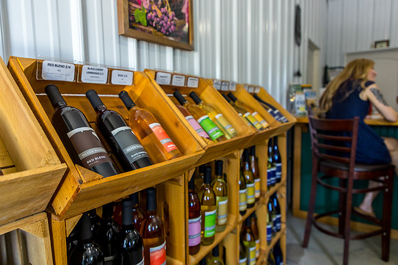 LOWT25-SilverWatersWinery-071325-onePhoto-13