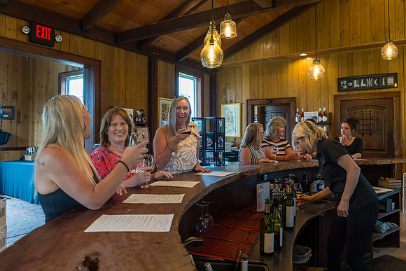 LOWT25-CollocaEstateWinery-071425-onePhoto-02