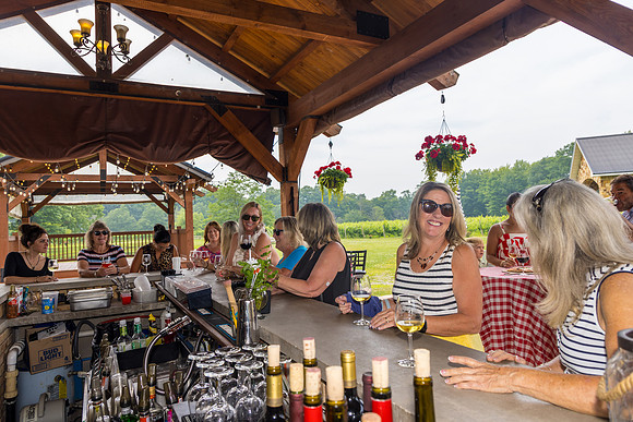 LOWT25-CollocaEstateWinery-071425-onePhoto-19