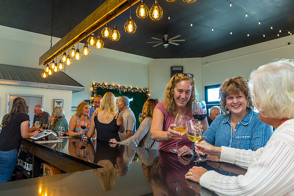 LOWT25-SterlingValleyVineyards-090325-onePhoto-14