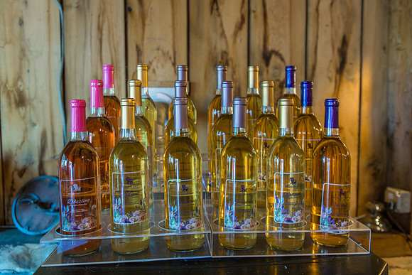 LOWT25-1891WineBarn-090525-onePhoto-07