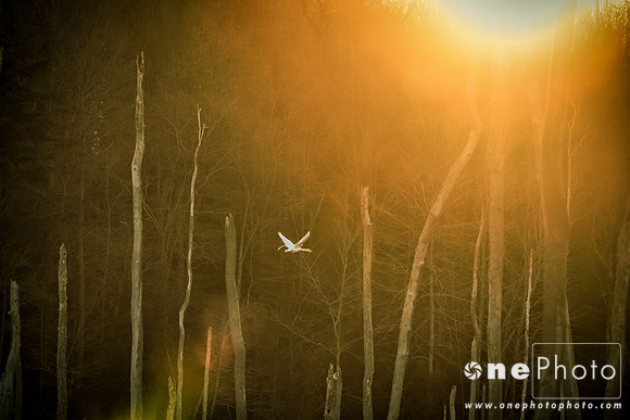 04-9eIMG_1975L