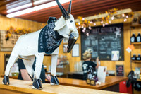 OldGoat-06