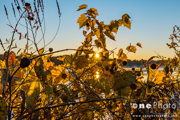 eR5I_4426