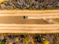 eDJI_0284