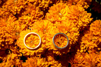Haring-092025-onePhoto-0010