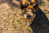 Becker-100425-onePhoto-049