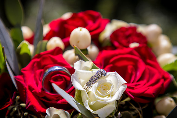 Becker-100425-onePhoto-046