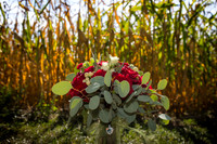 Becker-100425-onePhoto-037