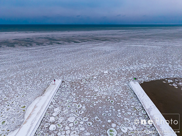eDJI_0472