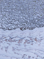 eDJI_0512