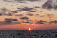 eIMG_1093H