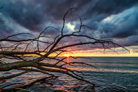 eIMG_1574L