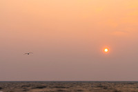 eR5I_9585