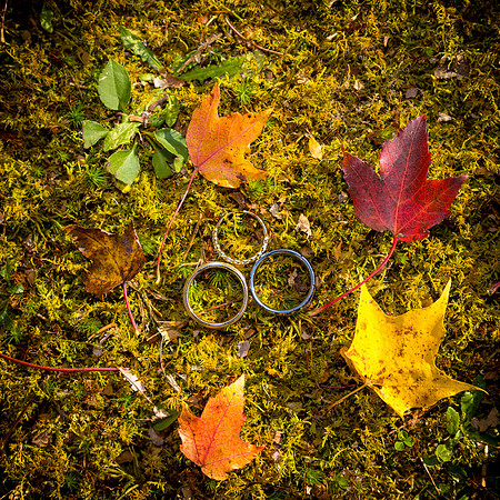 102624-Sereno-onePhoto-0023