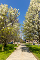 SUNYOswego2026-onePhoto-012