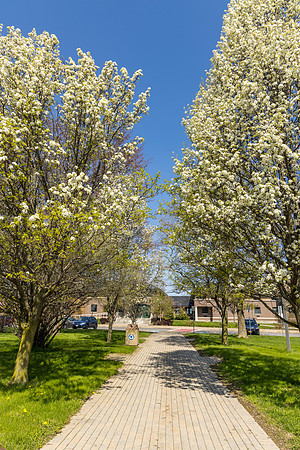 SUNYOswego2026-onePhoto-012