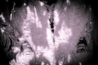 Graham-062026-onePhoto-0033