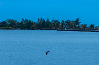 eR5I_9560