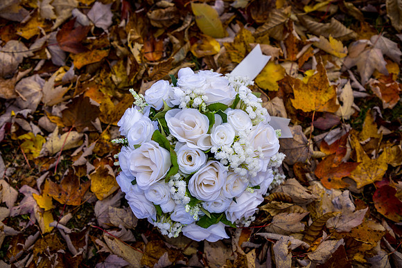 102624-Sereno-onePhoto-0008