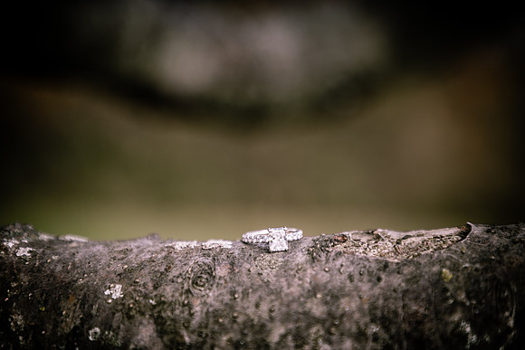 TaylorAndEric-102323-onePhoto-17