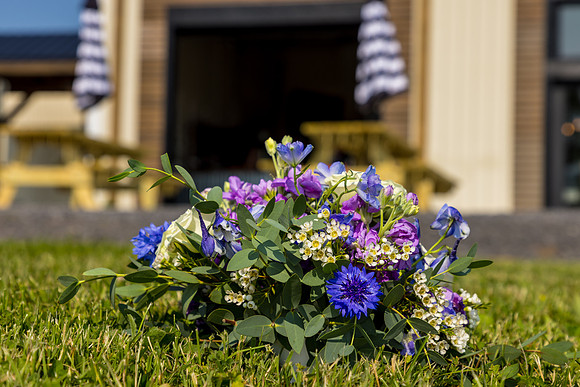CurtisRenewal-061425-onePhoto-011