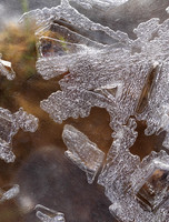 2014 Fair Haven Winter Festival