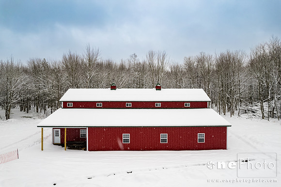 Wallace-onePhoto-01