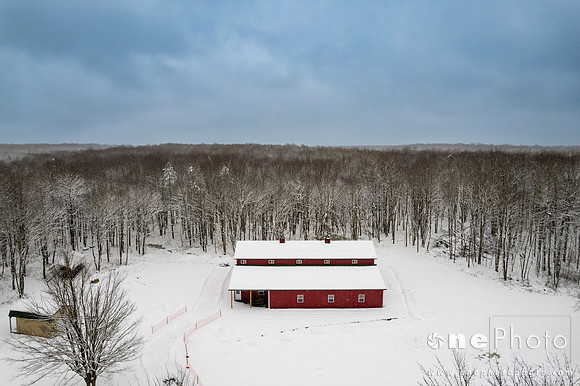 Wallace-onePhoto-03