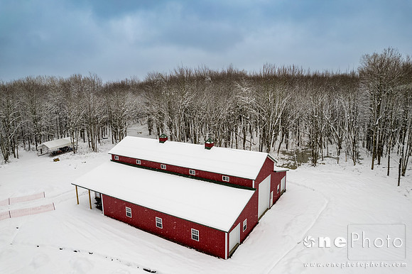 Wallace-onePhoto-06