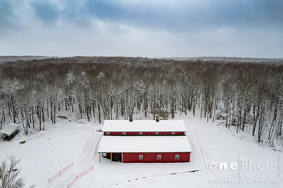 Wallace-onePhoto-14