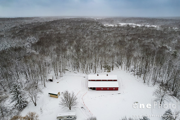 Wallace-onePhoto-13
