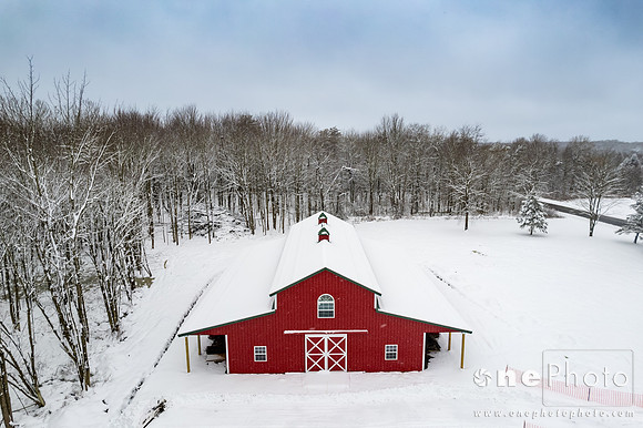 Wallace-onePhoto-18