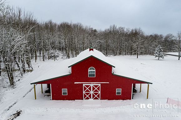 Wallace-onePhoto-19
