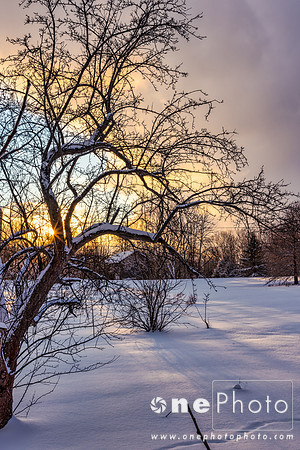 eIMG_6294_LuminarAI-edit