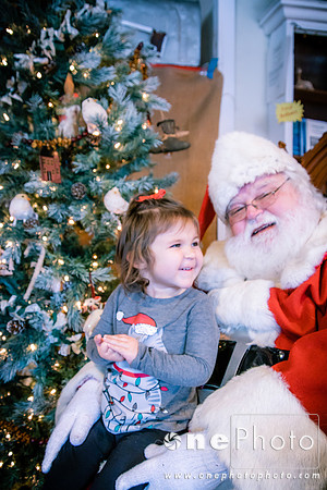 Santa-2019-0229