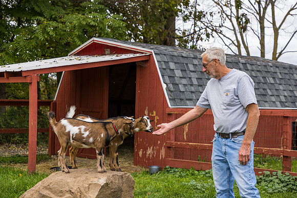 OldGoat-15