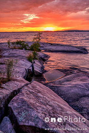 eIMG_3019_AuroraHDR2019-edit