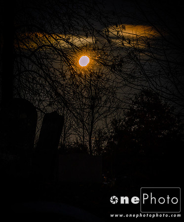eIMG_9475