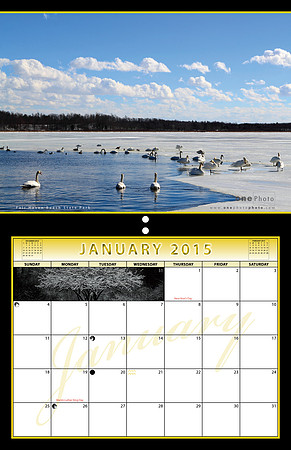 01-January15