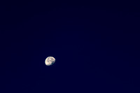 eR5I_3923