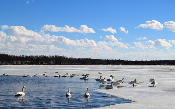 January