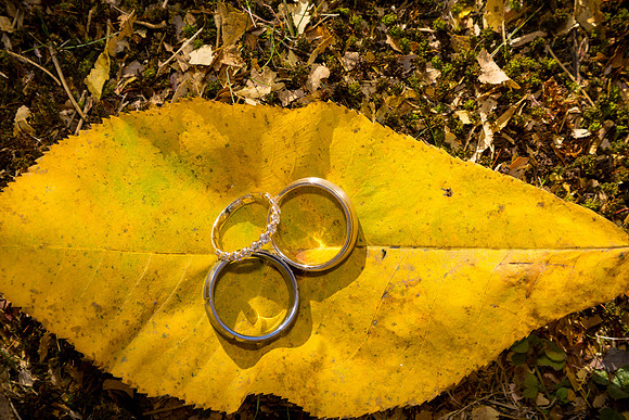 102624-Sereno-onePhoto-0026