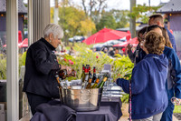 CollocaEstateWinery-13