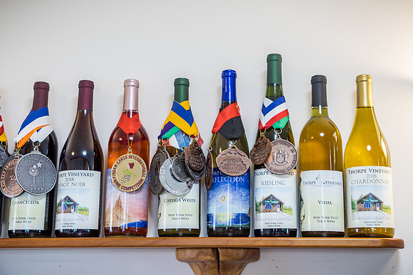 ThorpeVineyard-19