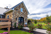 CollocaEstateWinery-12