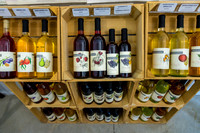 LOWT25-SilverWatersWinery-071325-onePhoto-14