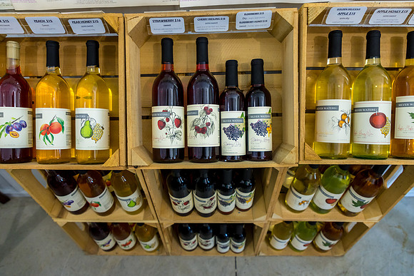 LOWT25-SilverWatersWinery-071325-onePhoto-14