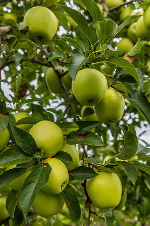 Embark-08