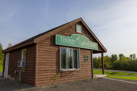 ThorpeVineyard-14